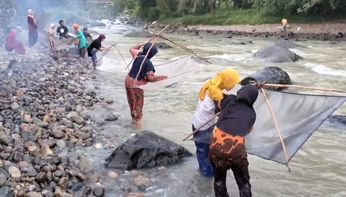 Tradisi Ngala Impun Jadi Daya Tarik Warga Pesisir Palabuhanratu Sukabumi