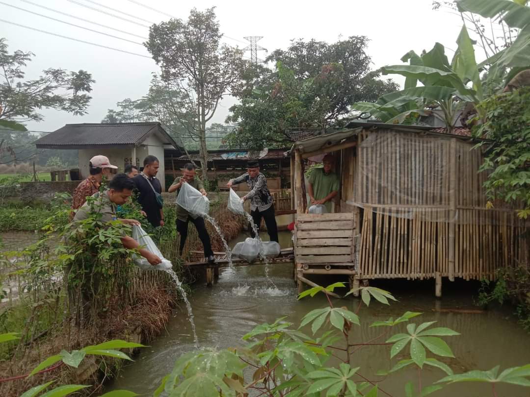 Dinas Perikanan Sukabumi Launching Program, Ikan Masuk Rumah di Desa Cibodas Bojong Genteng