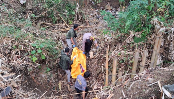 Geger! Mayat Pria Tanpa Identitas Ditemukan di Semak Bambu