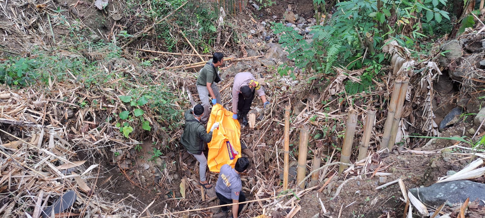 Geger! Mayat Pria Tanpa Identitas Ditemukan di Semak Bambu