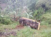 Truk Pengangkut Puluhan Kambing Terperosok ke Jurang Setinggi 15 Meter di Cicurug
