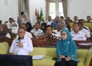 Wabup Sukabumi Percepat Penurunan Stunting, Agar Menjadi Program Prioritas
