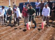 Wabup Dorong Pertanian Sorgum Mandiri Agro Solusi Indonesia, untuk Kesejahteraan Petani Sukabumi