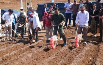 Wabup Dorong Pertanian Sorgum Mandiri Agro Solusi Indonesia, untuk Kesejahteraan Petani Sukabumi