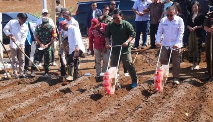 Wabup Dorong Pertanian Sorgum Mandiri Agro Solusi Indonesia, untuk Kesejahteraan Petani Sukabumi