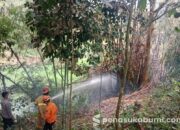 Bikin Panik! Rumpun Bambu di Cidahu Terbakar