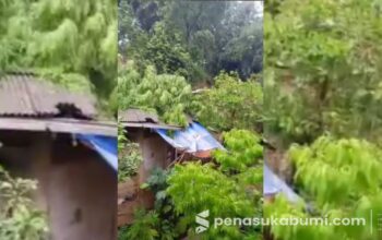 Pohon Mindi Tumbang, Atap Rumah di Kutajaya Rusak