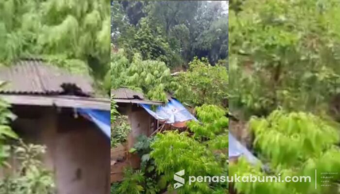 Pohon Mindi Tumbang, Atap Rumah di Kutajaya Rusak