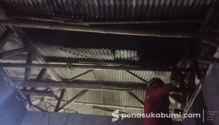 Pohon Mindi Tumbang, Atap Rumah di Kutajaya Rusak