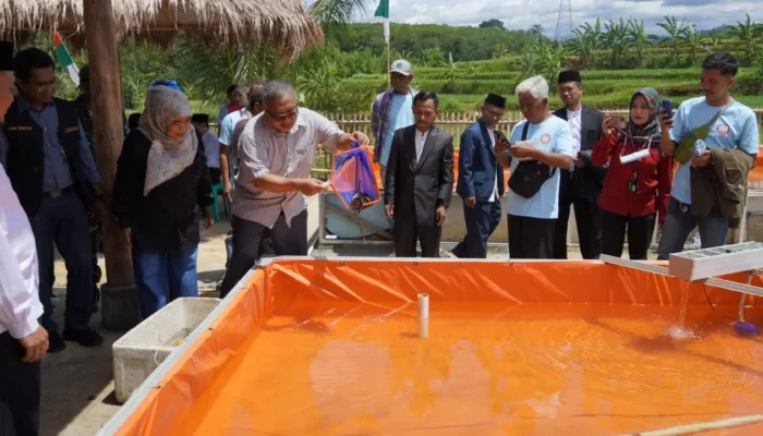 Marwan Hamami Luncurkan Program Sibulat Merah: Inovasi Budidaya Sidat di Ponpes Assalam Putri Sukabumi