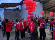 HUT PDIP Ke-51: Rimbun Ronaike Menyiasati Kontestasi Politik Tanpa Money Politik