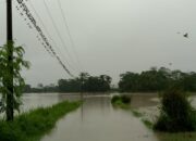 Banjir Melanda Kecamatan Ciemas Sukabumi, Sejumlah Desa Terendam