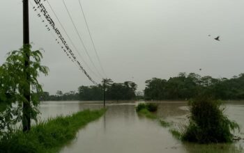 Banjir Melanda Kecamatan Ciemas Sukabumi, Sejumlah Desa Terendam