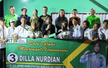 Suara Terbanyak dari Partai PPP, Dilla Nurdian : Kawal Pleno Hingga Tingkat Kabupaten