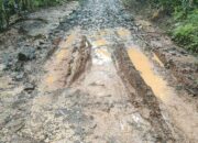 DPMD Sukabumi Fokuskan Dana Desa 2025 untuk Program Prioritas