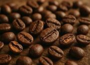Dari Kopi Nagrak hingga UMKM Desa, Wujud Nyata Pendampingan dan Pemberdayaan DPMD
