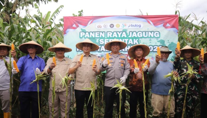 DPRD Sukabumi Apresiasi Polres Dukung Swasembada Pangan Melalui Panen Raya Jagung