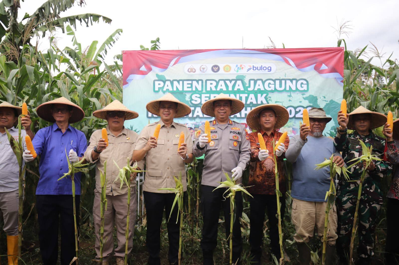 DPRD Sukabumi Apresiasi Polres Dukung Swasembada Pangan Melalui Panen Raya Jagung
