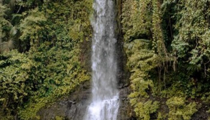 Pesona Curug Luhur Ambarjaya, Surga Tersembunyi di Balik Rimbunnya Alam Ciambar Sukabumi